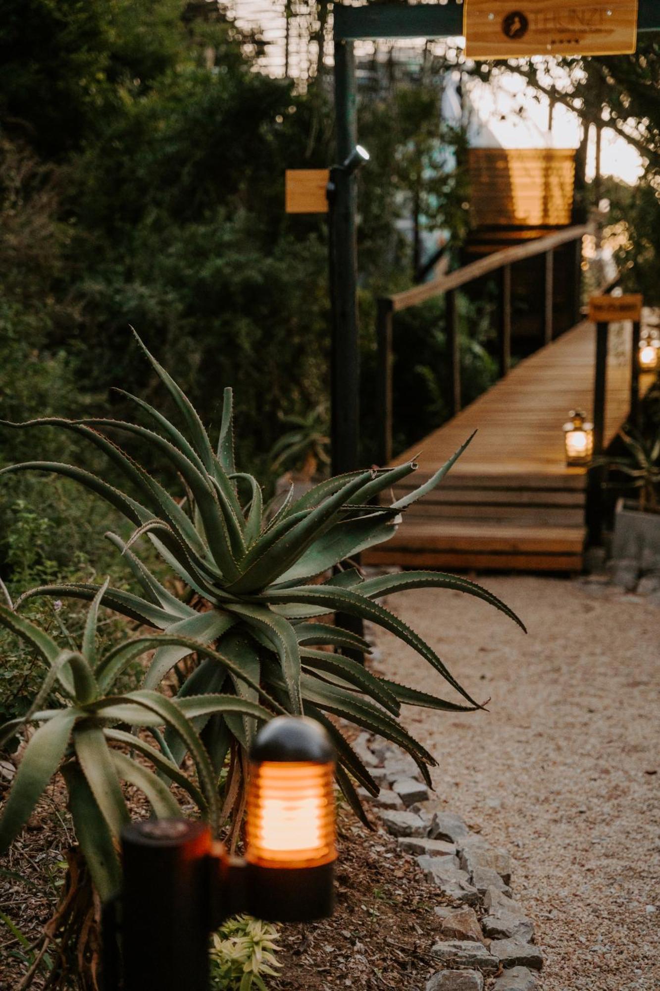 Thunzi Bush Lodge Beachview Bagian luar foto