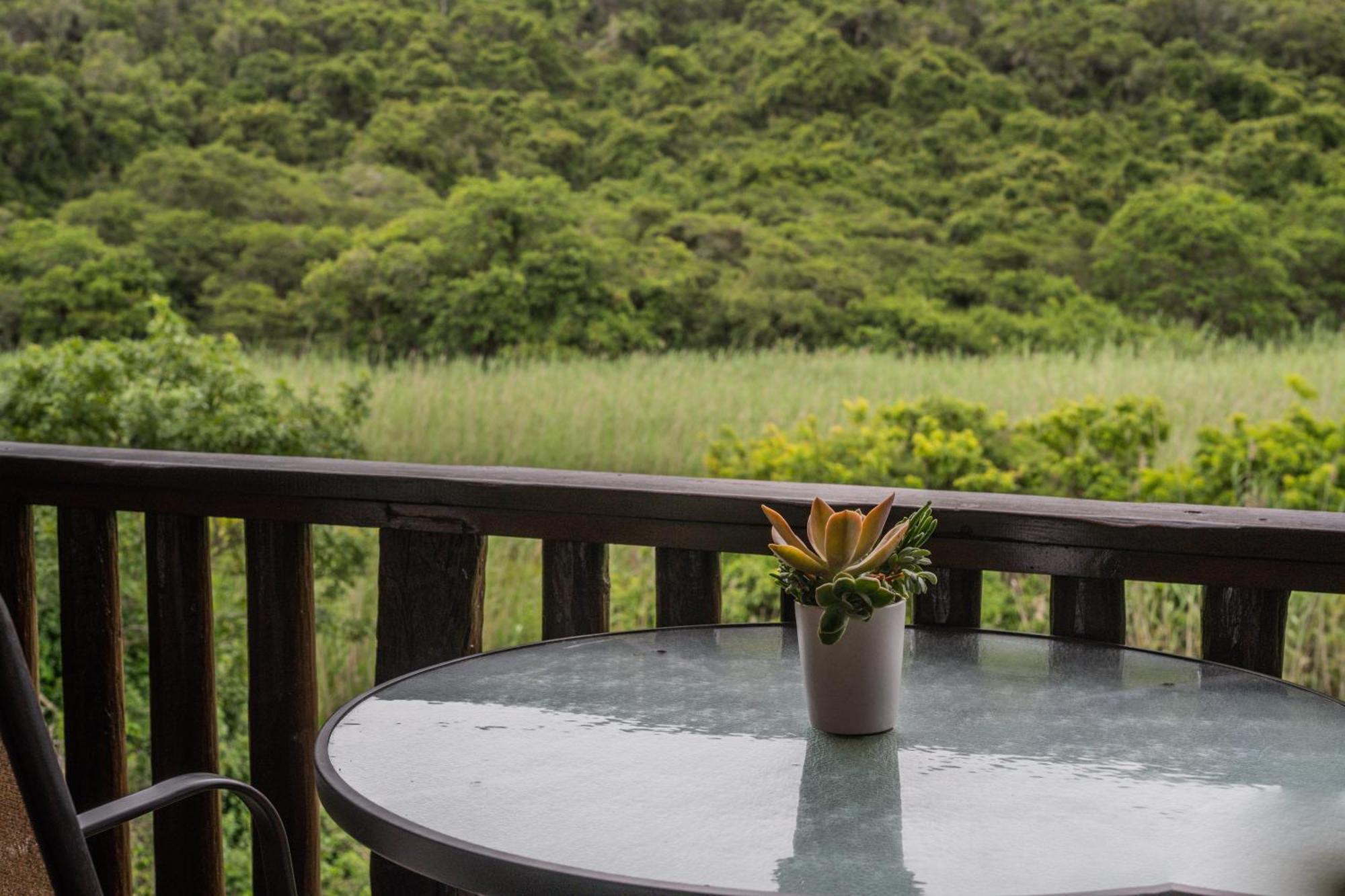 Thunzi Bush Lodge Beachview Bagian luar foto