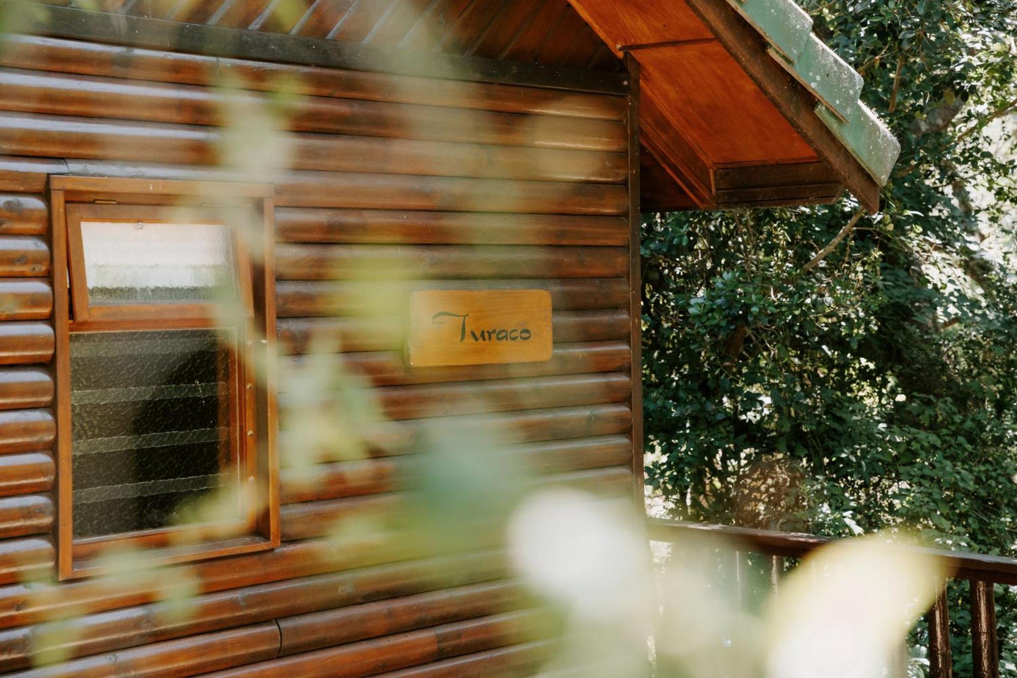 Thunzi Bush Lodge Beachview Bagian luar foto