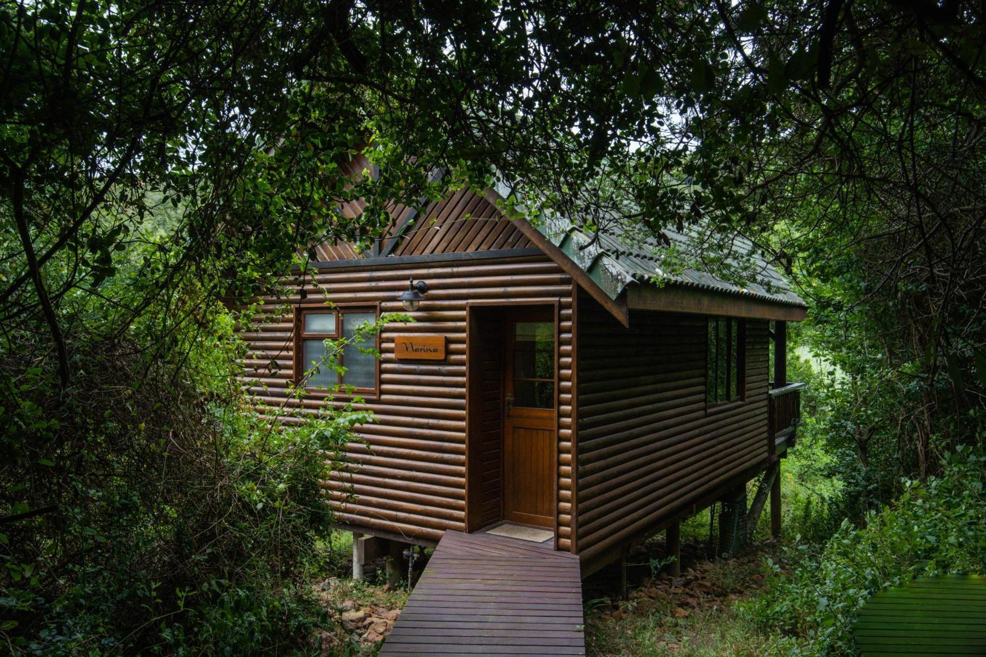 Thunzi Bush Lodge Beachview Bagian luar foto